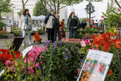 Agrandir l'image, fenêtre modale