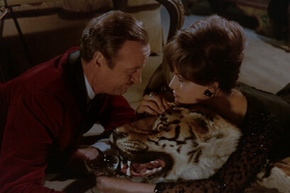 Agrandir l'image, fenêtre modale