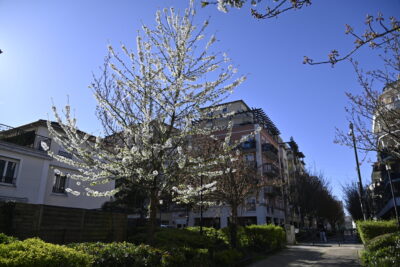 Agrandir l'image 6 sur 6, fenêtre modale