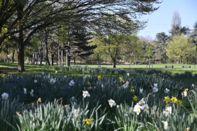 Agrandir l'image 5 sur 6, fenêtre modale