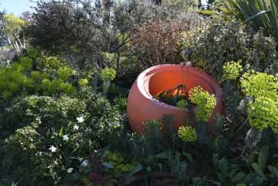 Agrandir l'image 2 sur 6, fenêtre modale