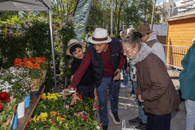 Une dame et un enfant regardent les fleurs et plantes proposées par le fleuriste qui est en train de leur montrer au marché aux fleurs de Villeneuve-la-Garenne - Agrandir l'image 3 sur 6, fenêtre modale