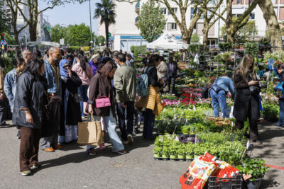 Plusieurs habitants de Villeneuve-la-Garenne regardent l'offre de plantes du marché aux fleurs de la ville. - Agrandir l'image 4 sur 6, fenêtre modale