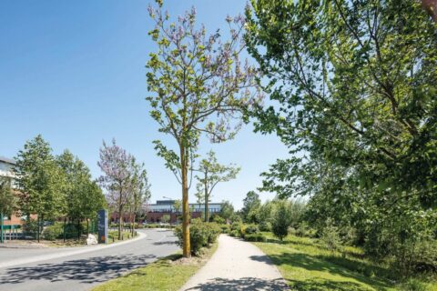 Crédits photo : Luc Boegly – CAUE 92