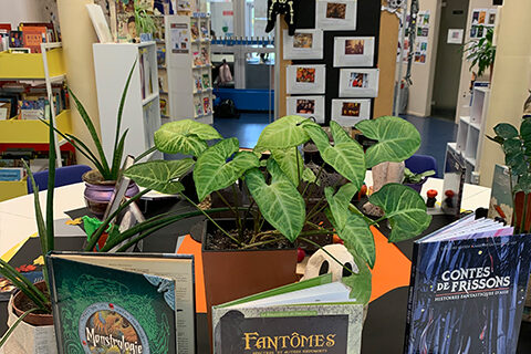 bibliotheque aime cesaire Villeneuve-la-Garenne