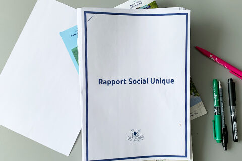 rapport social unique Villeneuve-la-Garenne