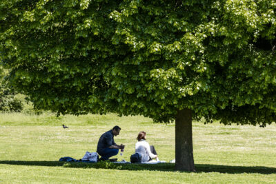 Agrandir l'image 3 sur 15, fenêtre modale