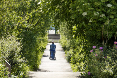 Agrandir l'image 13 sur 15, fenêtre modale