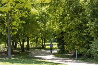 Agrandir l'image 10 sur 15, fenêtre modale