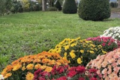 Agrandir l'image 4 sur 7, fenêtre modale