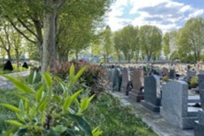 Agrandir l'image 6 sur 7, fenêtre modale