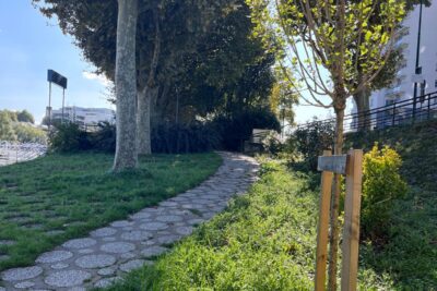 photo d'une allée avec des arbres aux couleurs d'automne - Agrandir l'image 2 sur 5, fenêtre modale