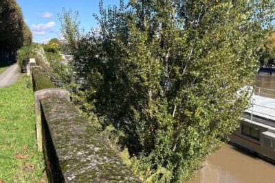 photo d'une allée avec des arbres aux couleurs d'automne - Agrandir l'image 5 sur 5, fenêtre modale