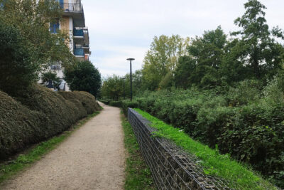 photo d'une allée avec des arbres aux couleurs d'automne - Agrandir l'image 3 sur 5, fenêtre modale