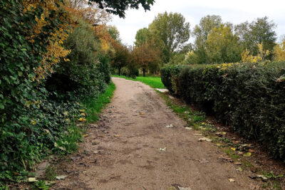 photo d'une allée avec des arbres aux couleurs d'automne - Agrandir l'image 1 sur 5, fenêtre modale