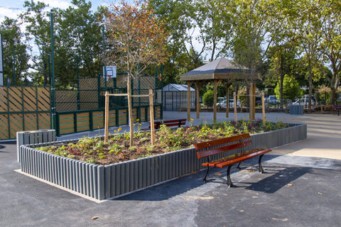 cour d'école avec un oasis et des arbres