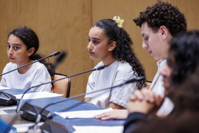 Agrandir l'image 3 sur 6, fenêtre modale