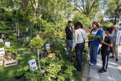 Agrandir l'image 3 sur 6, fenêtre modale