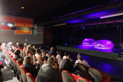 Spectateurs visionnant le show - Agrandir l'image 6 sur 6, fenêtre modale