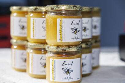 Agrandir l'image, fenêtre modale