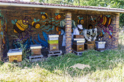 Agrandir l'image 1 sur 3, fenêtre modale