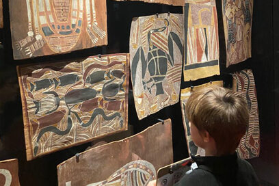 Agrandir l'image, fenêtre modale