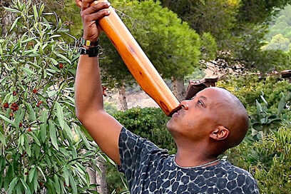 Agrandir l'image, fenêtre modale