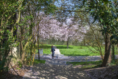 Agrandir l'image 6 sur 6, fenêtre modale