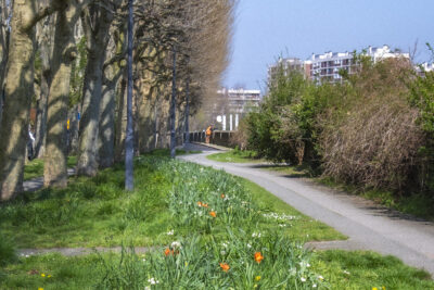 Agrandir l'image 4 sur 6, fenêtre modale