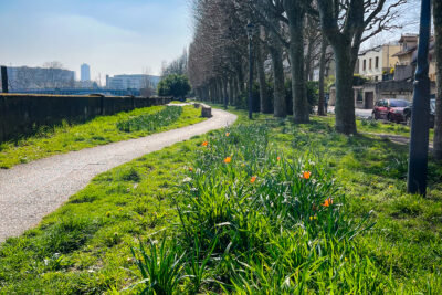 Agrandir l'image 5 sur 6, fenêtre modale