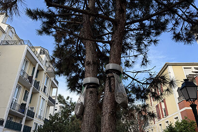 Agrandir l'image, fenêtre modale